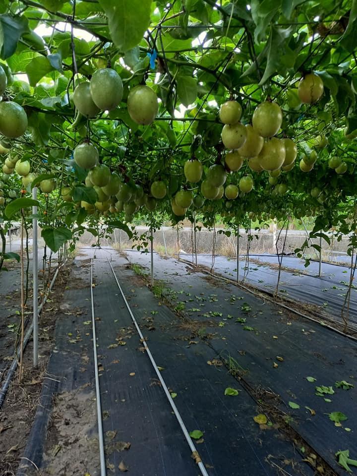 1675666746585984.jpg 1.jpg