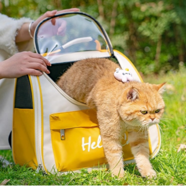耐抓透氣外出寵物背包 耐抓透氣外出寵物背包