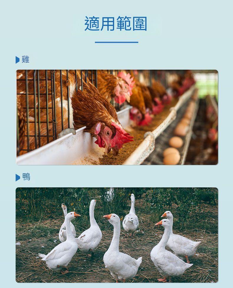 1754411274446281.jpg 0d7570c5a584fc2ddadcd6f1de42faca.jpg